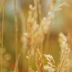 足の怪我で退院されてから旅先での治療！！