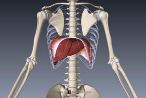 401fa501b0a2220847b82cd7098bdc3e