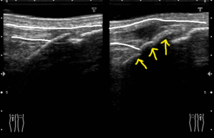 750c87fc625e7a99a76c6f38f668a5231