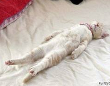 e382b9e382afe383aae383bce383b3e382b7e383a7e38383e38388efbc882013-03-042018_49_49efbc89-9540f