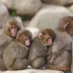 寒い時期に気をつけてほしい事があります！予防策にはこれ！！